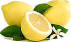 limones huerta de murcia